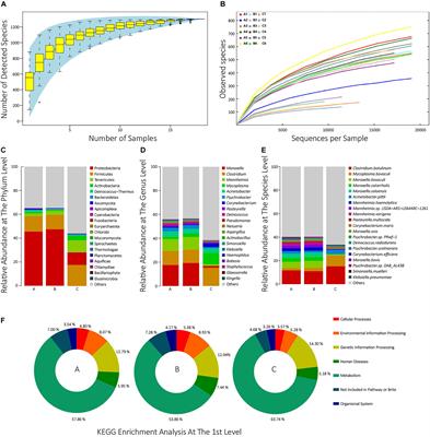 Metagenomics Reveals That Proper Placement After Long-Distance Transportation Significantly Affects Calf Nasopharyngeal Microbiota and Is Critical for the Prevention of Respiratory Diseases